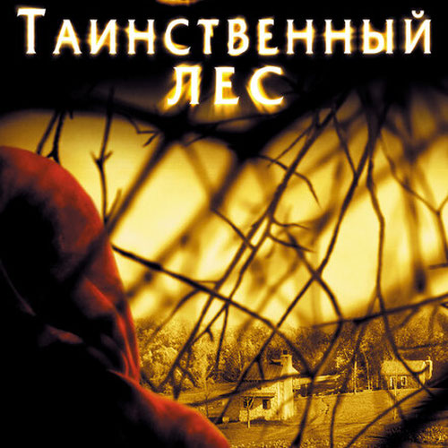 Изображение Таинственный лес