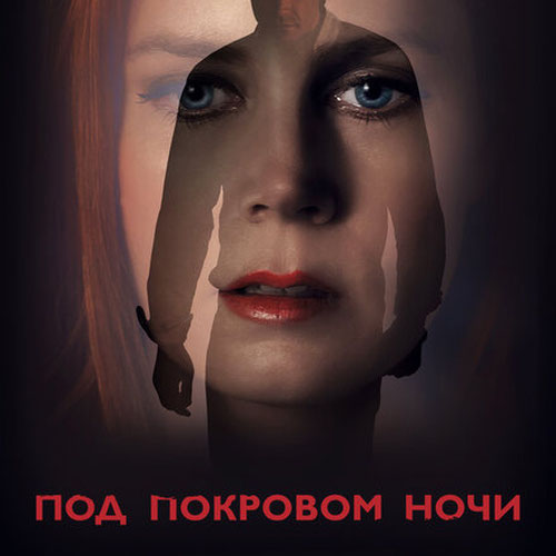 Изображение Под покровом ночи